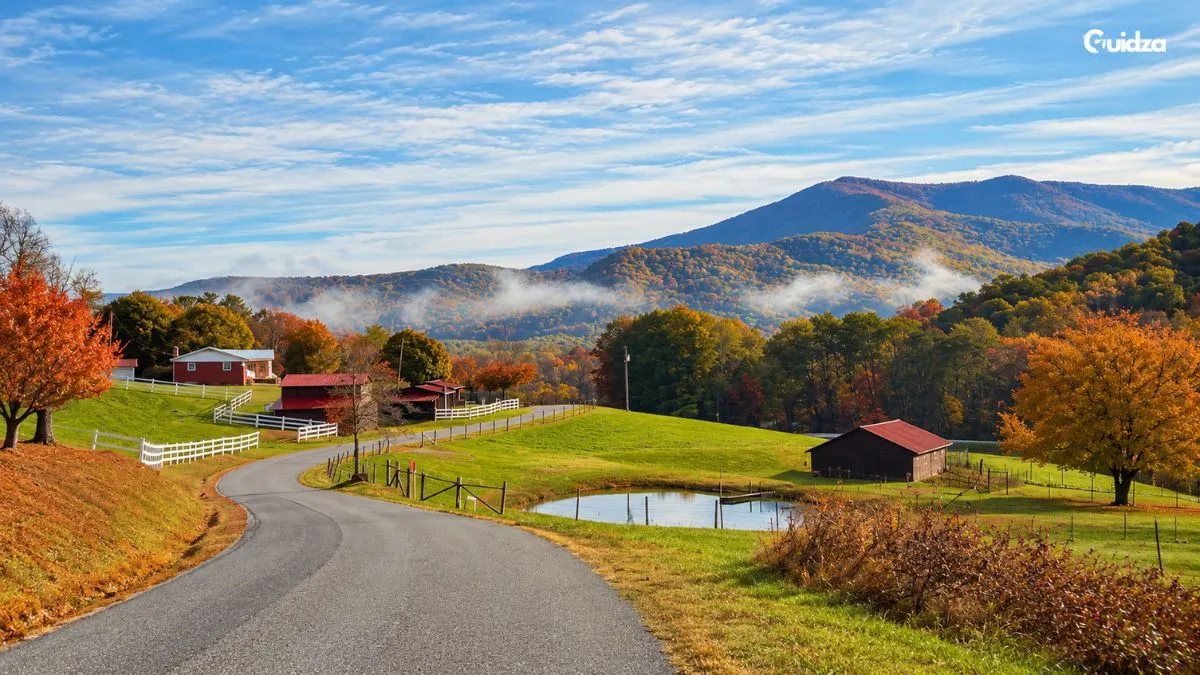 Scenic Road Trip